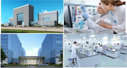 麻涌崛起 打造穗莞合作專業化產城融合中心，領航生物科技研發新篇章