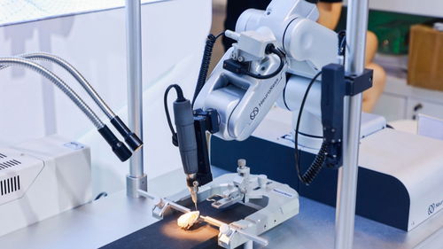 硬核科技企業為何紛紛落地上海生物科技研發高地？