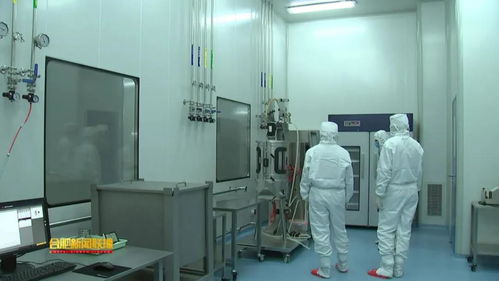 安科生物 以研發為翼，驅動創新未來的安徽生物科技領軍者