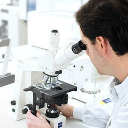 戴森微生物實驗室 從塵埃中探尋科技創新的秘密